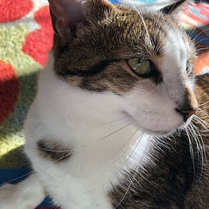 Meet your Posher, Renee